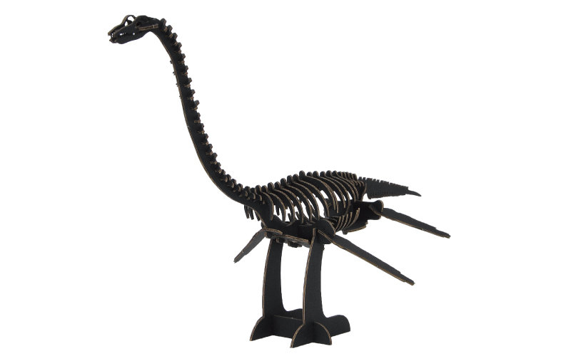 フタバサウルス BLACK