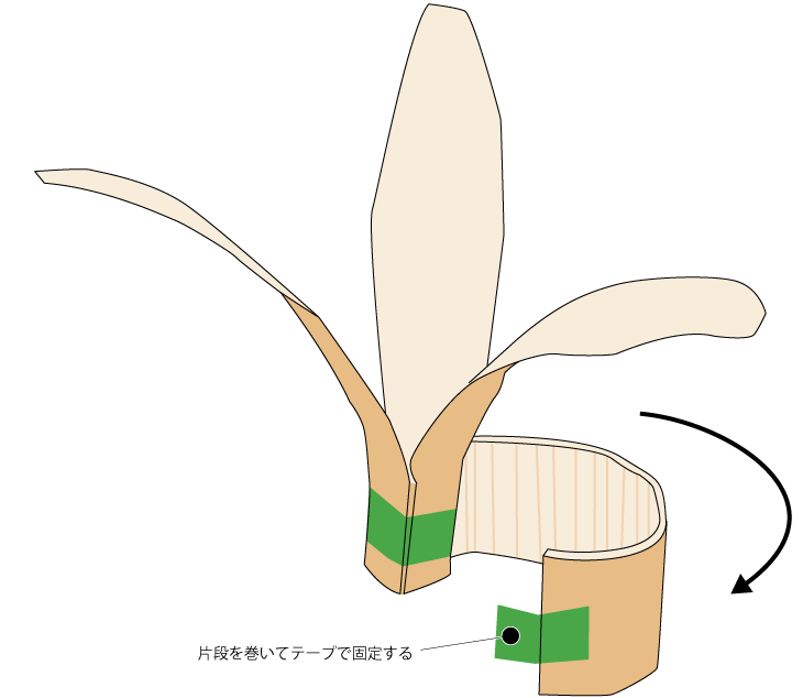 羽子板（組立て方4）.gif